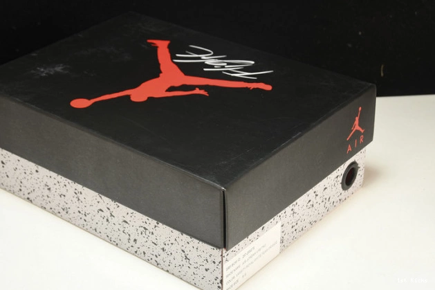 Duckman Ducks Retro Jordan 4 257-255275 Oregon 0724